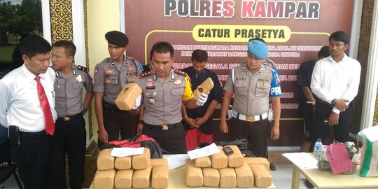 Bawa 21 kg ganja dari Aceh, 2 pengedar ditangkap dalam bus di Riau