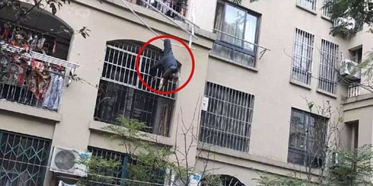 Jatuh dari balkon, kakek ini selamat nyangkut di jemuran