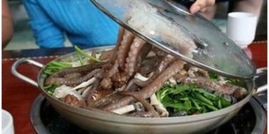PETA kecam tradisi kuliner hewan yang disajikan hidup-hidup