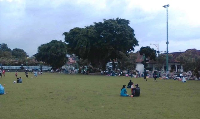 alun alun purwokerto