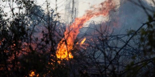 Warga Palestina padamkan kebakaran di Israel