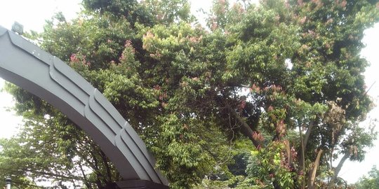 kerahkan 10000 santrinya ke jakarta rev1