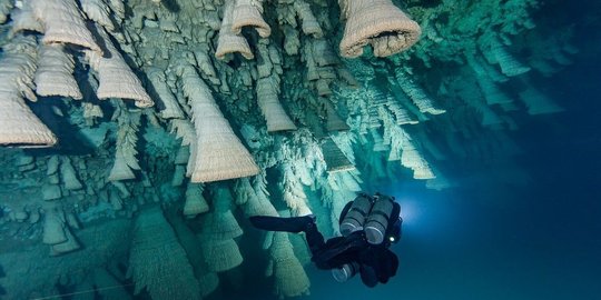 'Lonceng-lonceng neraka' di bawah birunya Cenote Zapote Meksiko