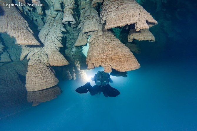 lonceng neraka di cenote zapote meksiko