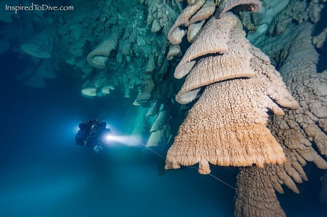 lonceng neraka di cenote zapote meksiko