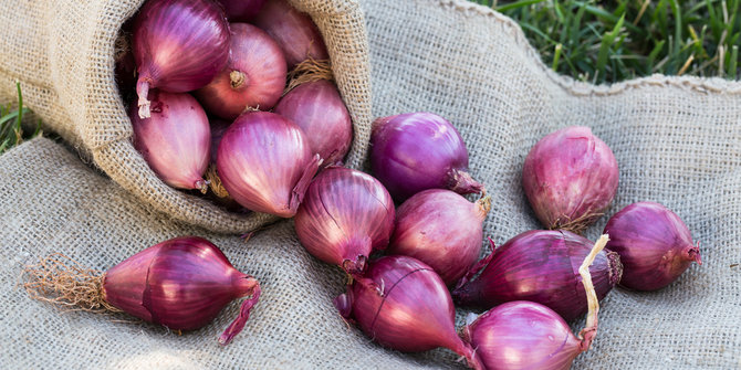 AGEN POKER DOMINO CEME DAN CAPSA TERBAIK DI INDONESIA AGENPOKER.BIZ