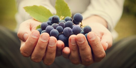 7 makanan ini bikin istri 'menyerah tanpa syarat' di atas ranjang