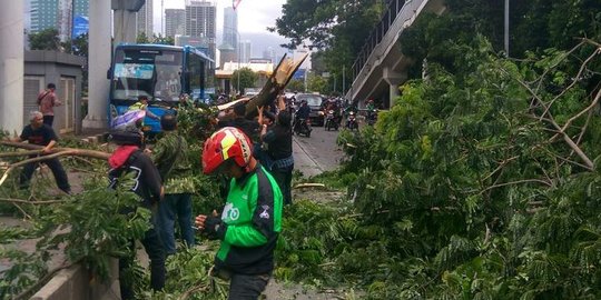 Angin kencang di Jakarta, pohon-pohon bertumbangan