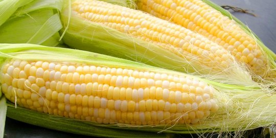 konsumsi 5 bahan pokok ini bisa tekan impor beras