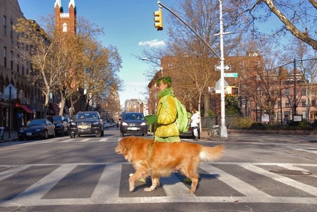 elizabeth eaton rosenthal the green lady of carroll gardens