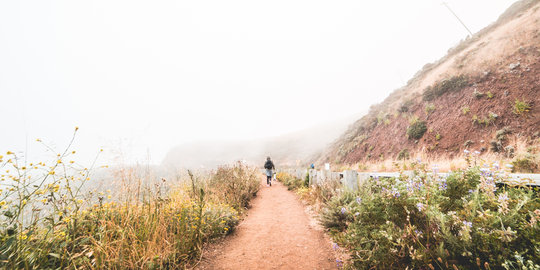 Liburan bareng agen perjalanan ini seperti membuka kotak kejutan