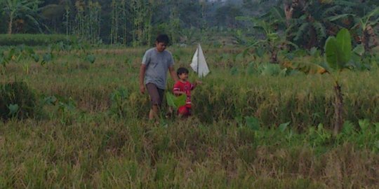 Strategi cetak sawah, lahan baru buat petani tanam padi