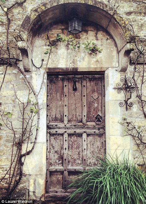 tren doortraits di instagram