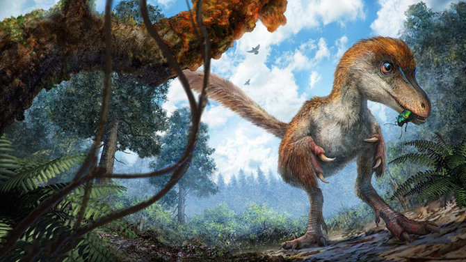 batu amber berisi potongan ekor dinosaurus