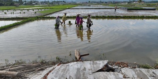 Warga korban gempa di Aceh mulai kembali beraktivitas