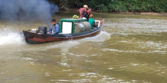 11 Orang utan dilepasliarkan di Taman Nasional Bukit Baka Bukit Raya