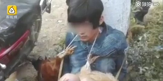 Maling ayam ini ditelanjangi dan diikat di tiang listrik