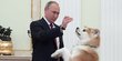 Akrabnya Putin dan anjing lucu hadiah dari Jepang