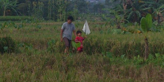 Upah buruh cuma naik tipis di November 2016