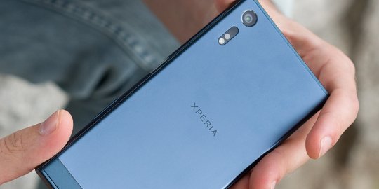 2017 edition