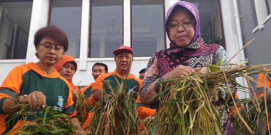 Cegah keributan, Risma bilang 'tidak usah nobar Piala AFF'