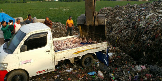 3 Ton ikan berformalin di Makassar dimusnahkan Polda Sulsel