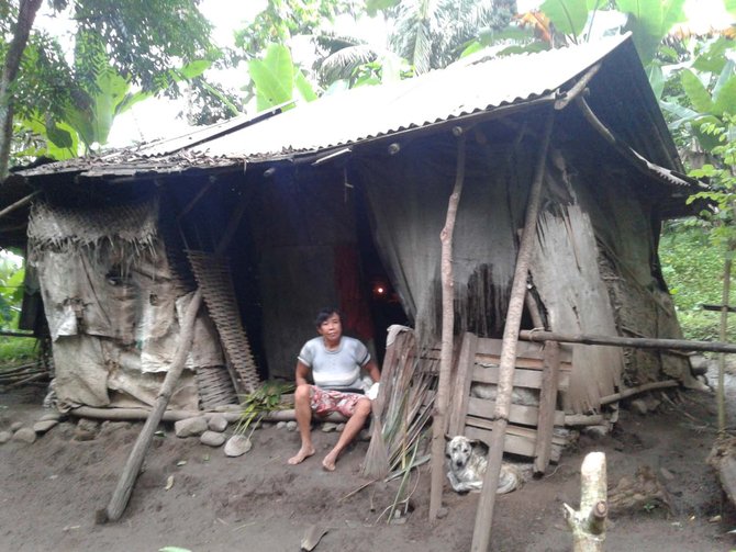 janda tua jadi manusia hutan