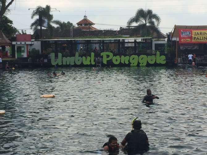 snorkeling di umbul ponggok