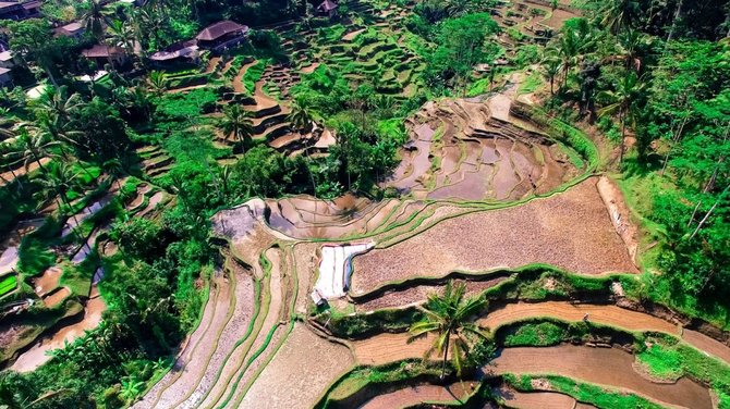 subak di bali