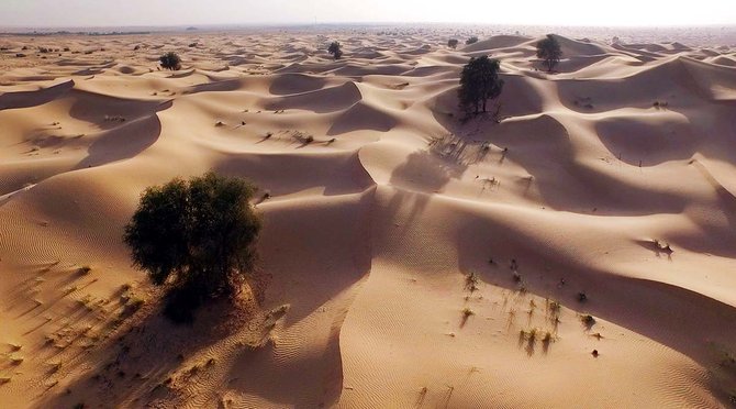 gurun pasir dubai