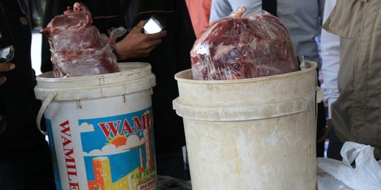 Ratusan kilogram daging celeng di selundupkan dari Surabaya ke Bali