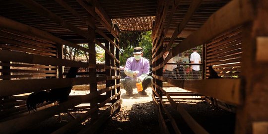 Tahun 2017, virus H5N1 jadi perhatian utama Kemenkes