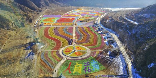 Indahnya warna-warni taman kincir angin di Beijing