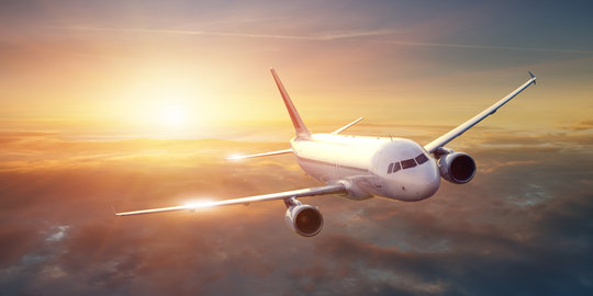 Pilot ini ditangkap karena mabuk lalu pingsan di kokpit