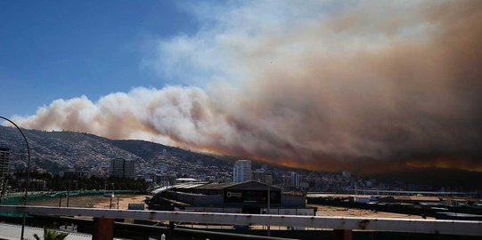 Dahsyatnya kebakaran hutan di Chile sampai hanguskan ratusan rumah
