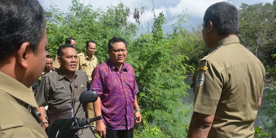 Ada kabar buaya liar, Wali Kota Denpasar blusukan ke rawa