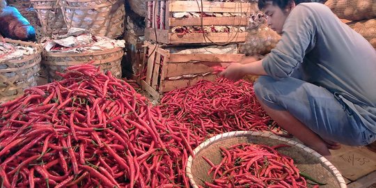 Dalam seminggu, harga cabai di Sorong naik Rp 140.000 per Kg