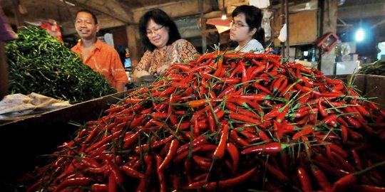 Pedagang ungkap harga cabai di Jakarta sempat tembus Rp 130.000/Kg