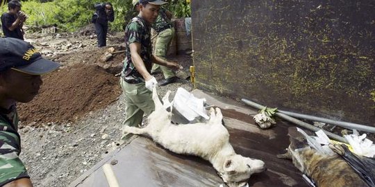 Kementan berupaya putus mata rantai penularan zoonosis