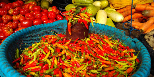 Stok cabai di Jakarta menipis, harga meroket Rp 150 ribu per Kg