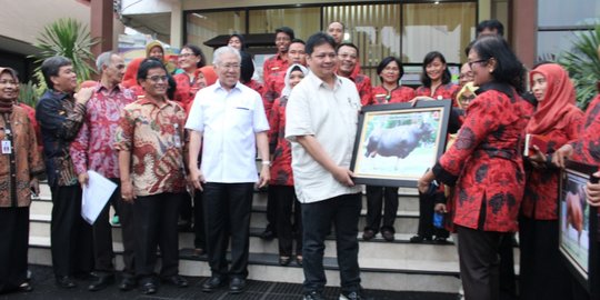 Pemerintah dorong peternak tingkatan produksi susu nasional