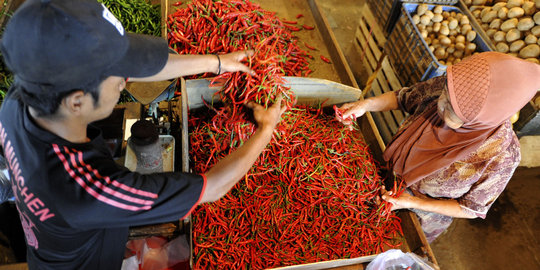 Harga cabai di Depok belum turun dari Rp 75.000 per Kg