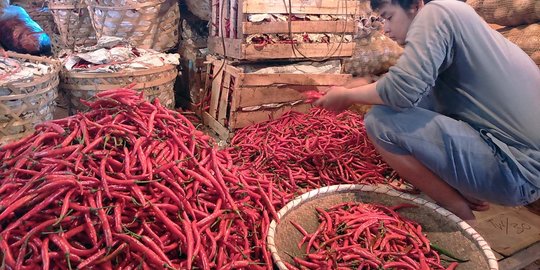 Antisipasi kenaikan harga, Pemprov Jatim sebar 100 Kg cabai per hari