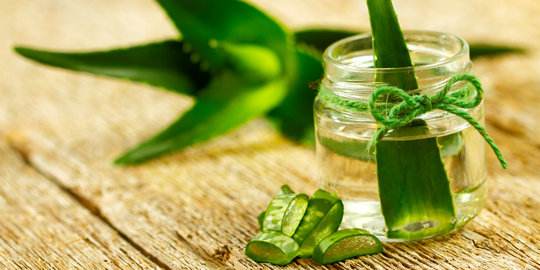Tak hanya untuk kecantikan, ini 8 efek mengejutkan dari lidah buaya!