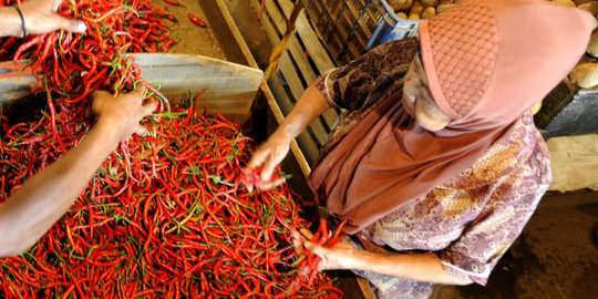 KPPU temukan penyebab harga cabai tembus Rp 100.000 per Kg