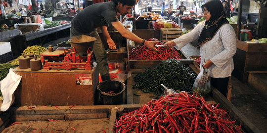 DKI bakal garap lahan di Tangerang atasi harga cabai meroket