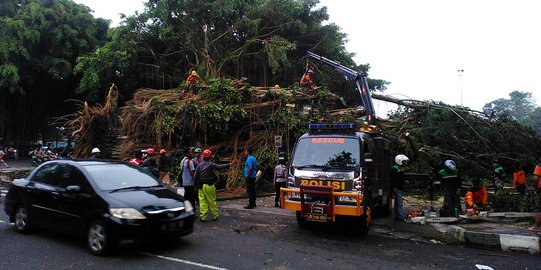 Angin kencang di Sleman menyebabkan ratusan bangunan rusak