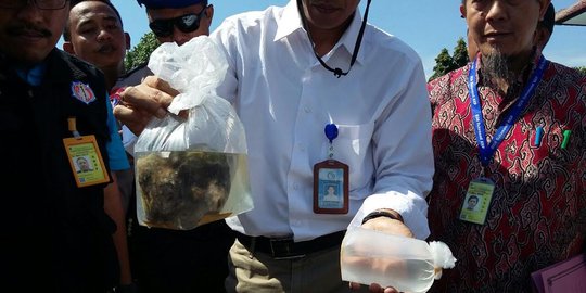 Bule asal Rusia selundupkan koral hias dan kepiting mini di Bali