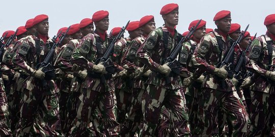 Pansus RUU Pemilu sudah minta pendapat panglima soal hak pilih TNI