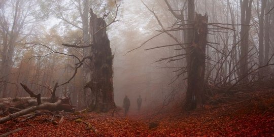 berisi penyihir raksasa monster dan arwah orang mati rev1